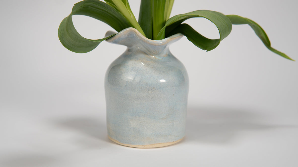 Ceramic vase with a plant on a white background